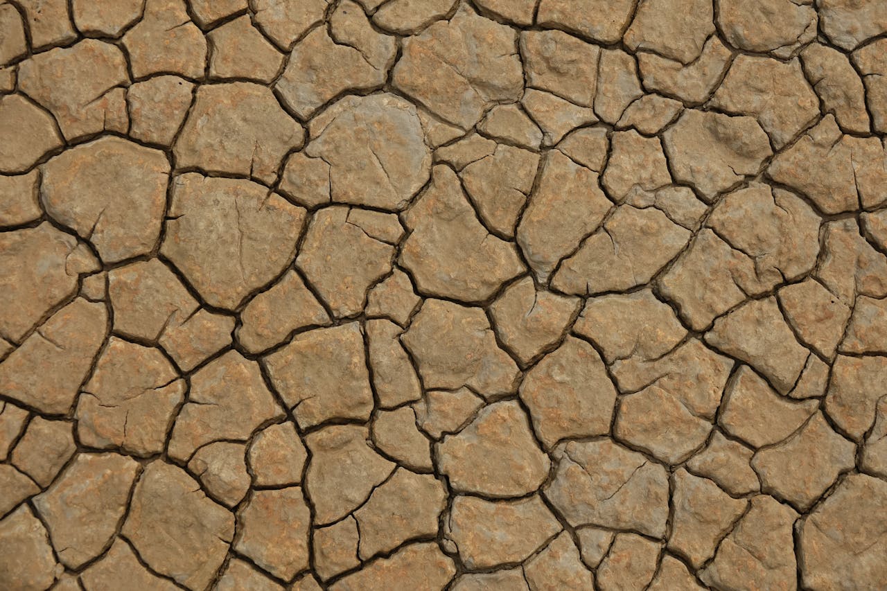 Detailed close-up of cracked, arid ground showcasing natural patterns and textures.